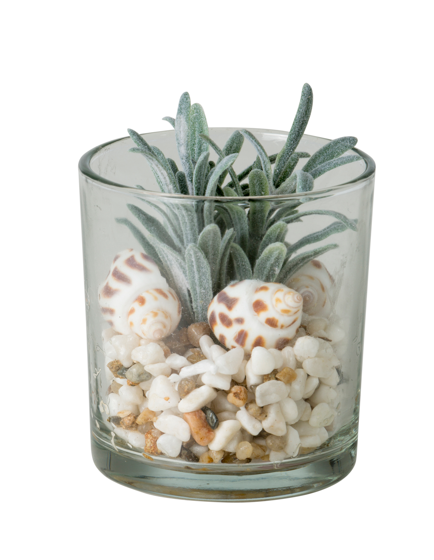 Faux Succulent With Stones In Glass 10cm