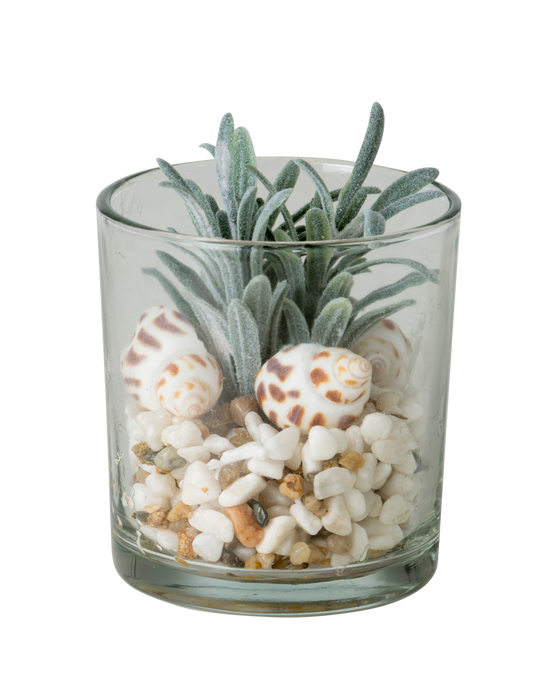 Faux Succulent With Stones In Glass 10cm