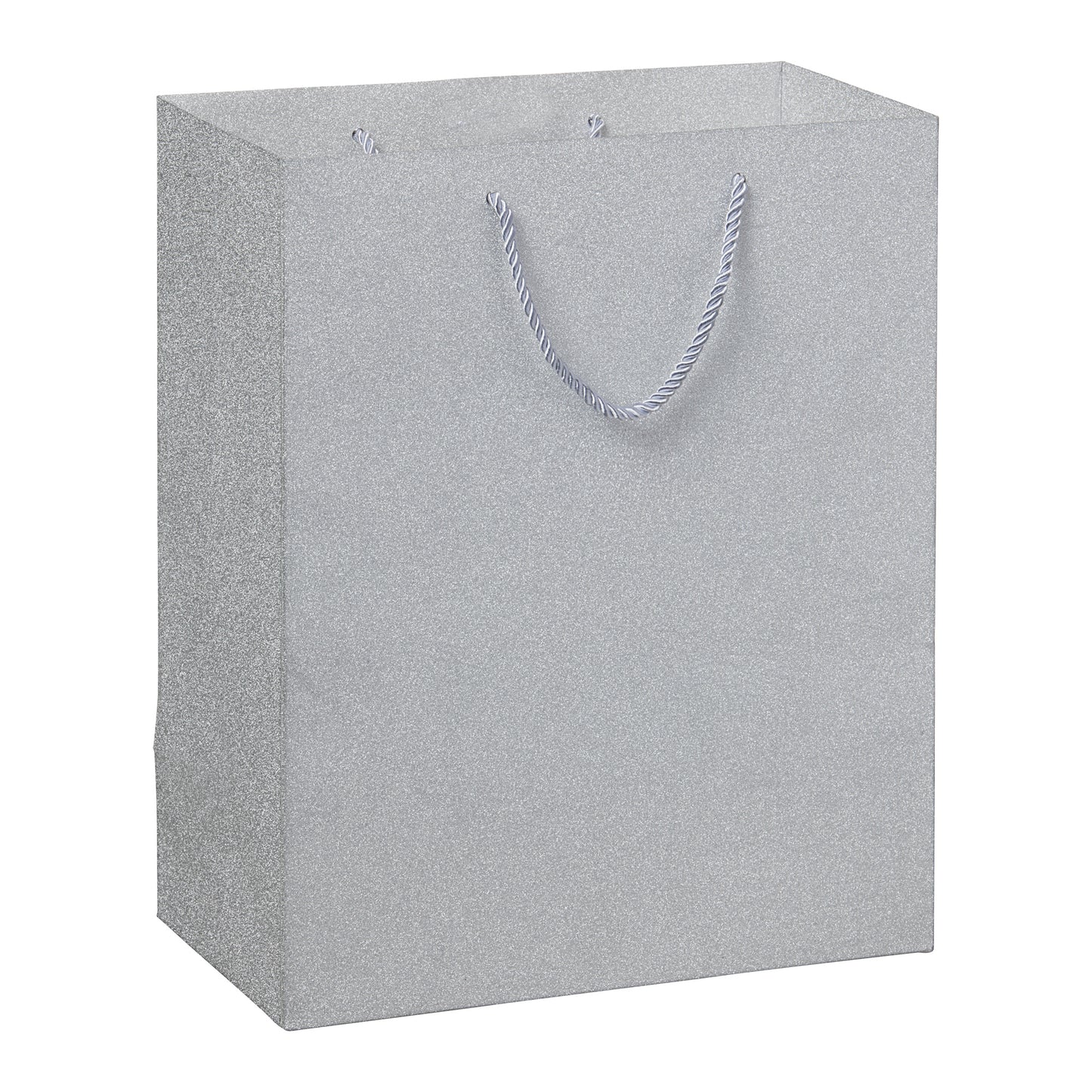 Large Paper Gift Bag Glitter