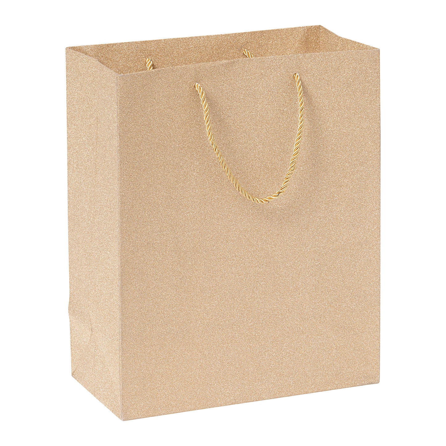 Large Paper Gift Bag Glitter