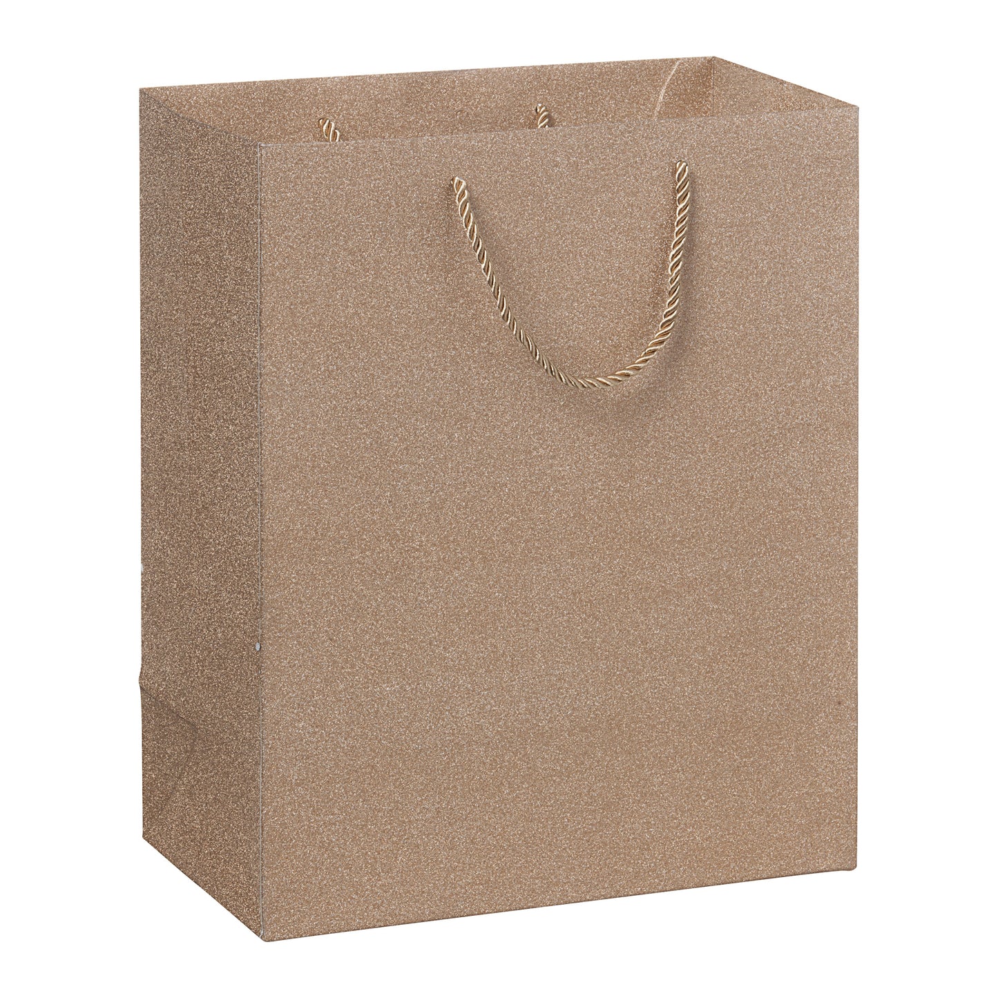 Large Paper Gift Bag Glitter