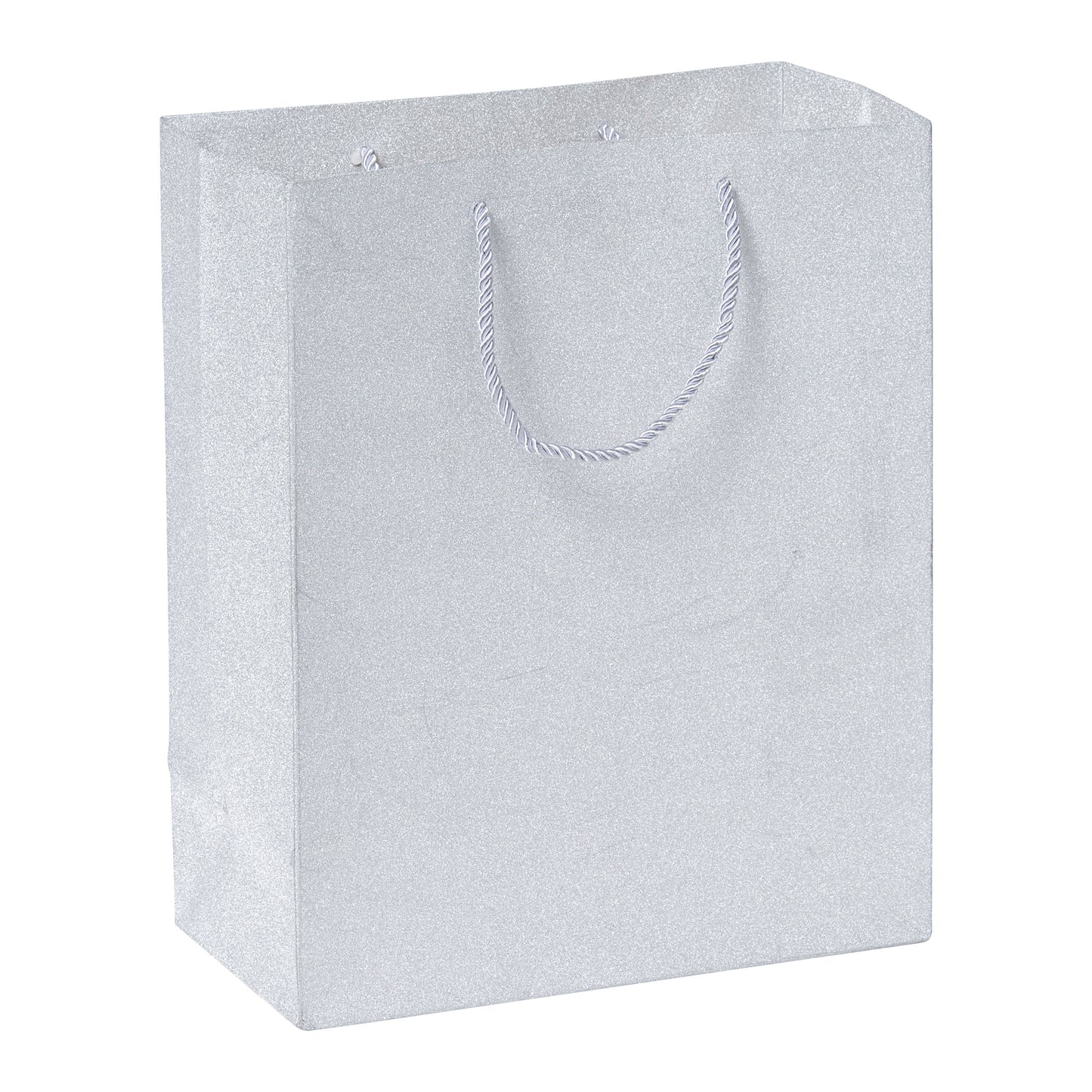 Large Paper Gift Bag Glitter