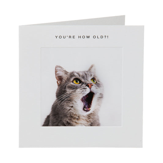 Funny Surprised Cat Birthday Card