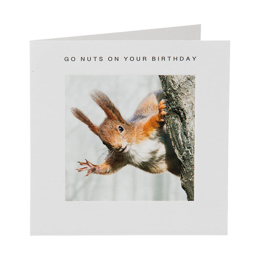 Cute Nuts Squirrel Birthday Card