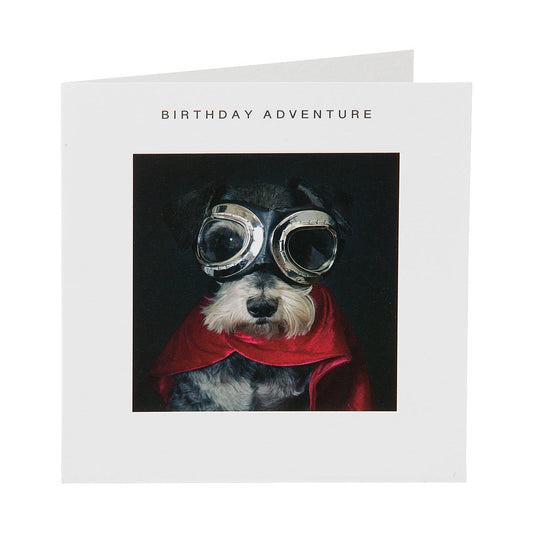 Cute Puppy Pilot Birthday Card