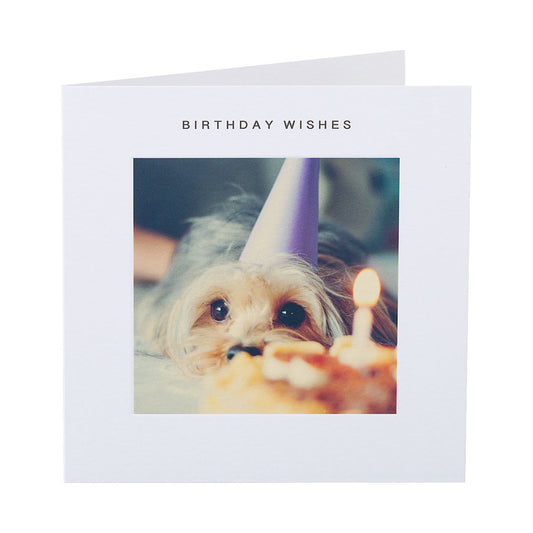 Cute Puppy & Candle Birthday Card