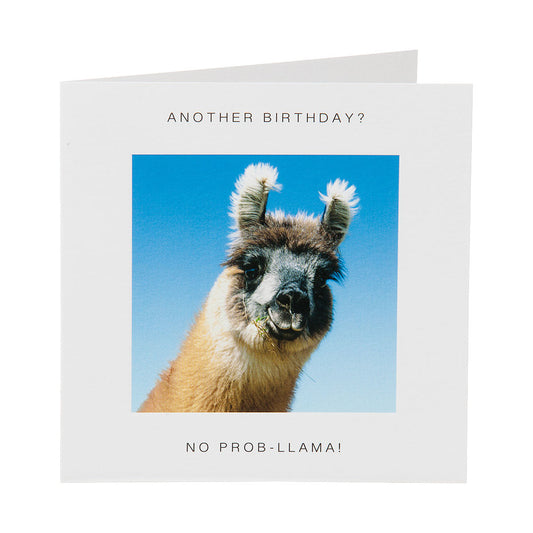 Funny Llama Birthday Card