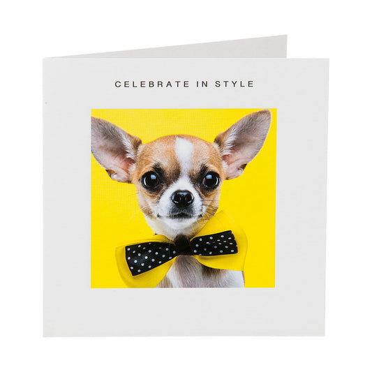 Cute Puppy Celebrate Birthday Card