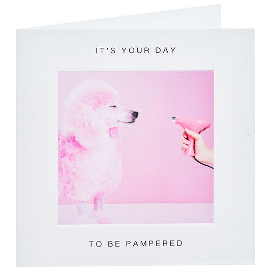 Cute Pampered Poodle Occasion Card