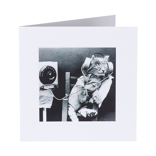 Cute Kitten Radio Greeting Card