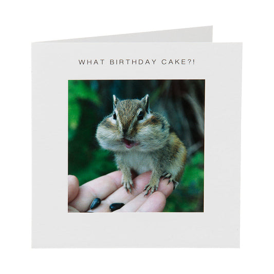 Cute Mouthful Squirrel Birthday Card