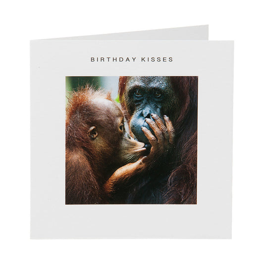 Cute Monkey Birthday Card