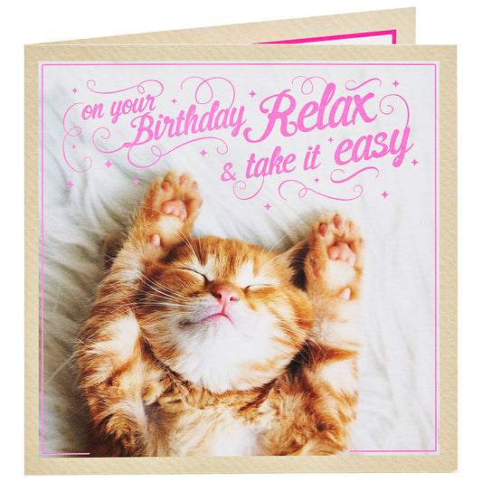 Cute Kitten Birthday Card Relax