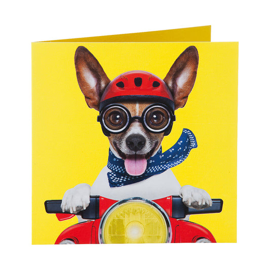 Funny Puppy Scooter Greeting Card