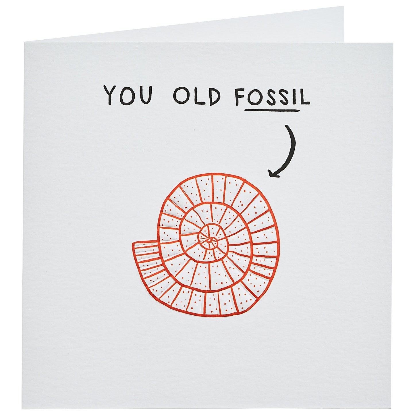 Funny Old Fossil Birthday Card