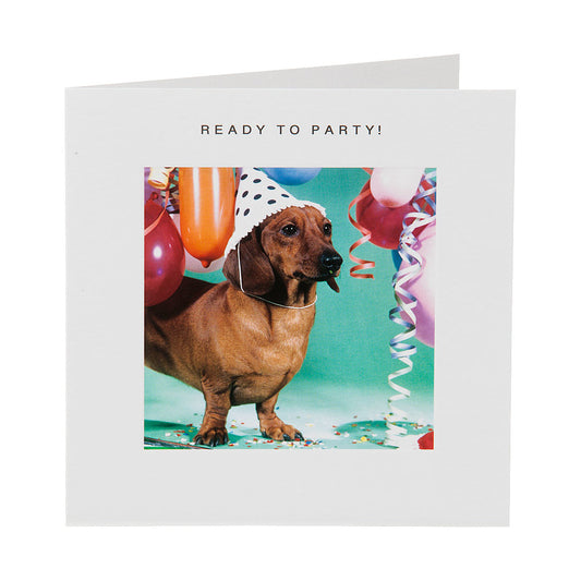 Cute Dog Ready To Party Birthday Card