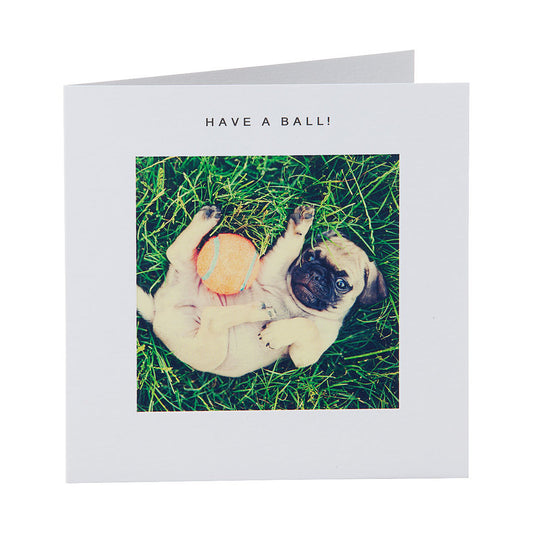 Cute Pug & Ball Greeting Card