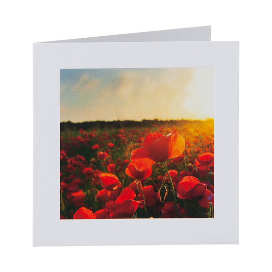 Traditional Art Poppies Greeting Card