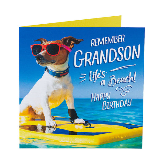 Cute Puppy Grandson Birthday Card