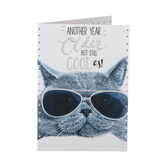 Funny Cool Cat Sunnies Birthday Card