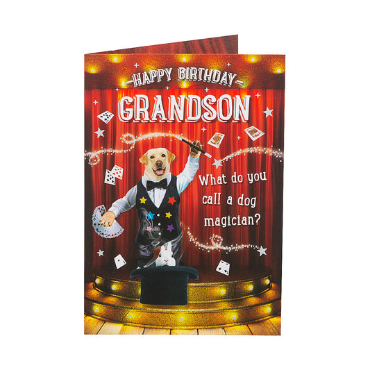 Funny Magician Grandson Birthday Card