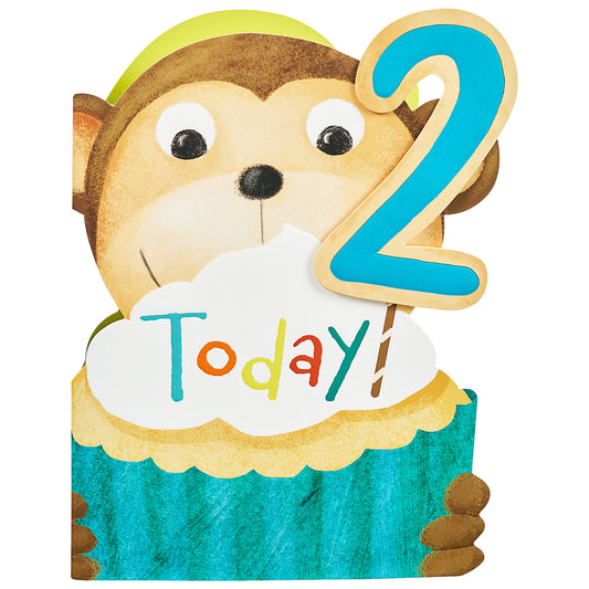 Cute Monkey 2nd Birthday Card