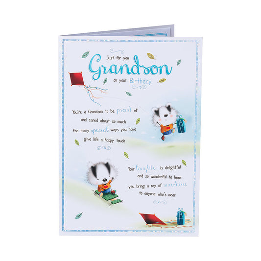 Cute Grandson Birthday Card