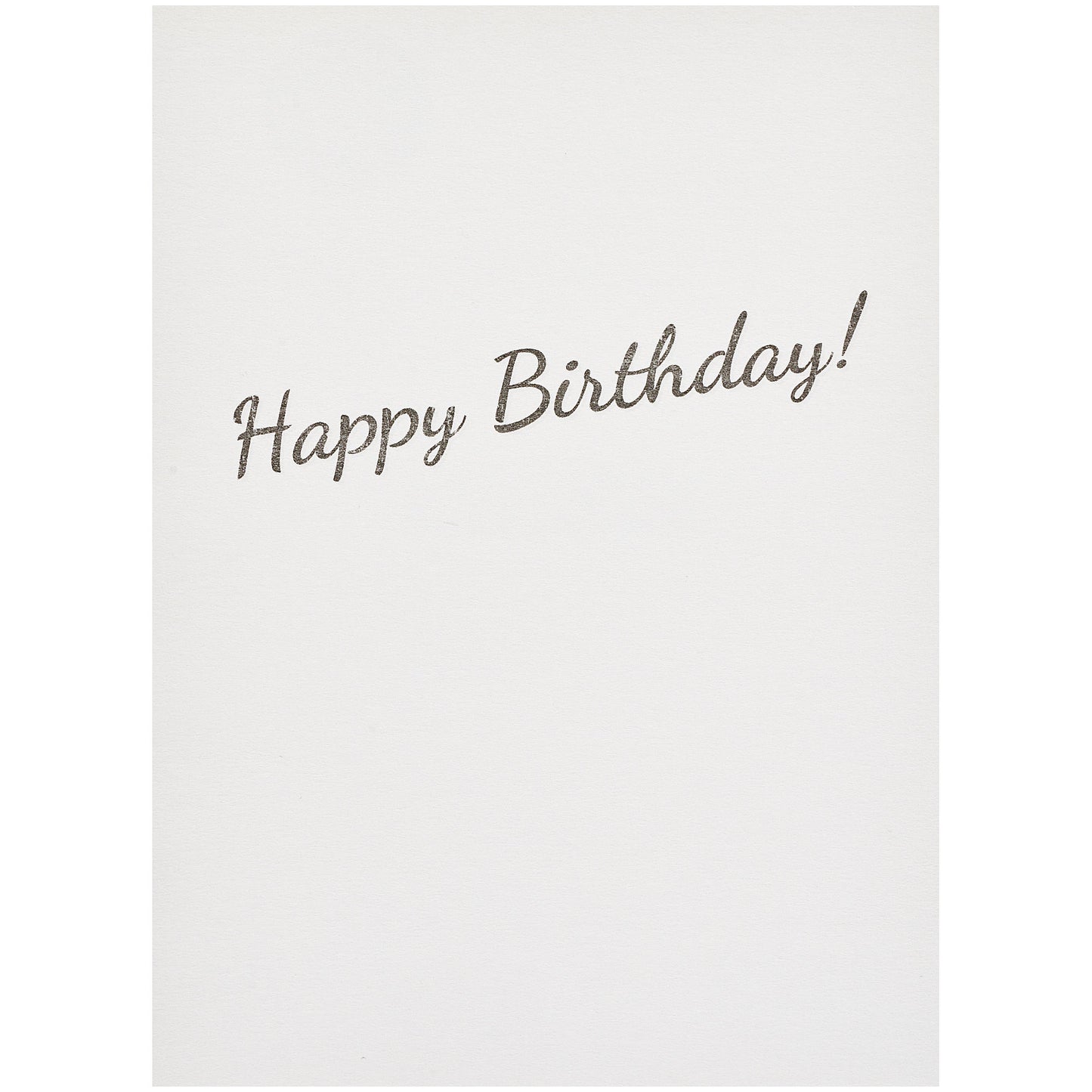 Funny Birthday Card Chocolate | The Reject Shop