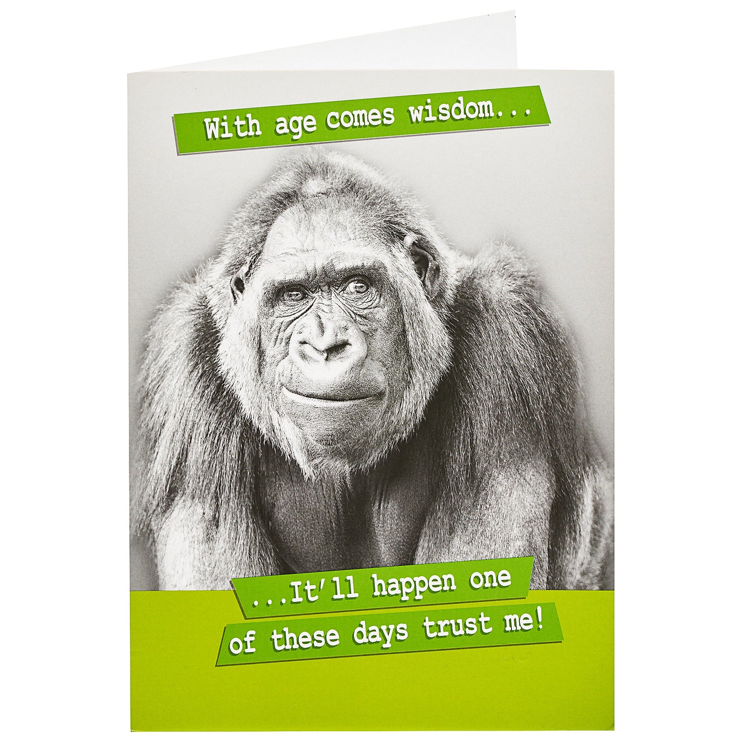 Funny Birthday Card Gorilla Wisdom