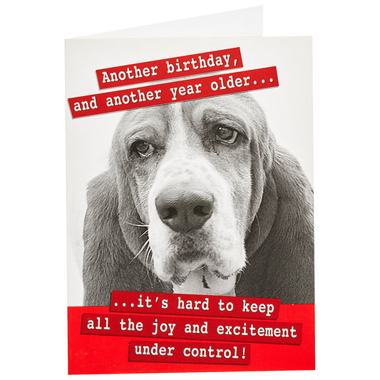 Funny Birthday Card Sad Old Dog