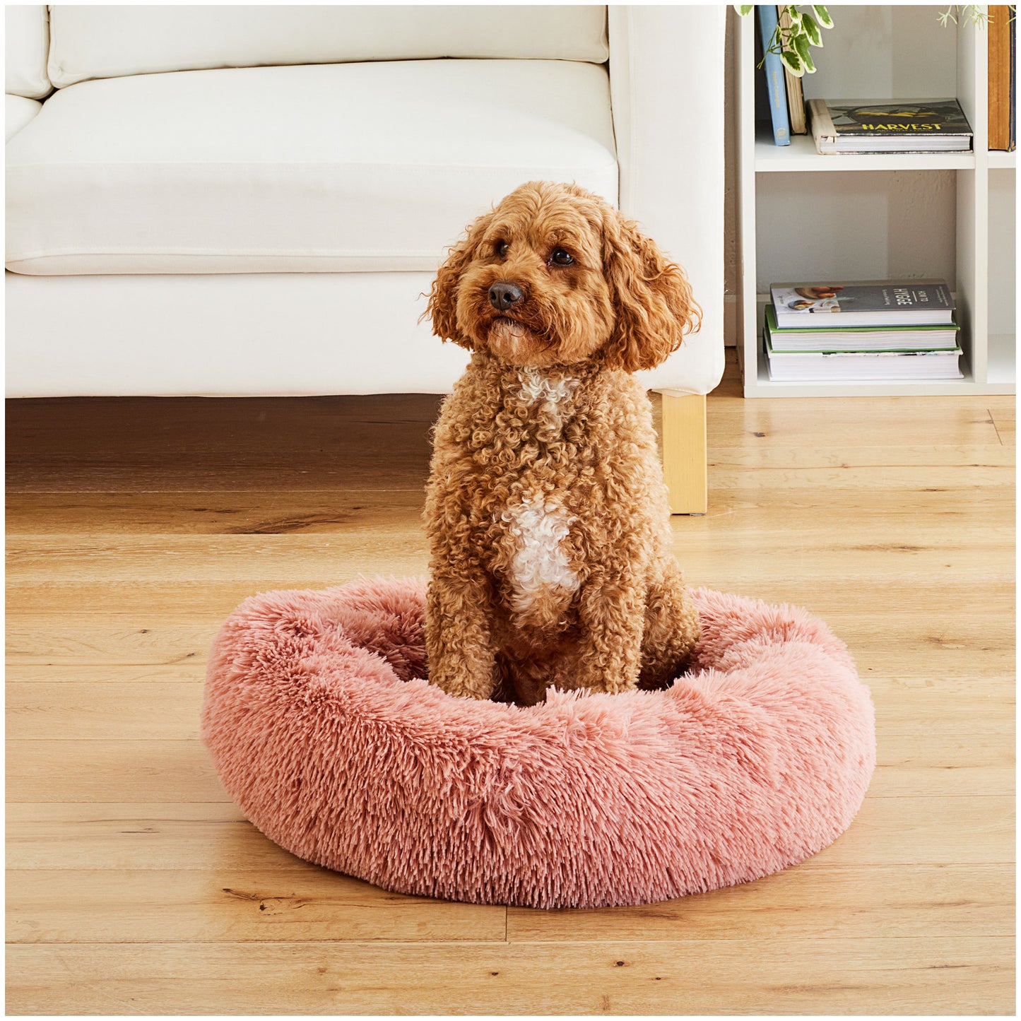 Sammantha Pet Bed Fluffy Grey/Pink - Dog Bed