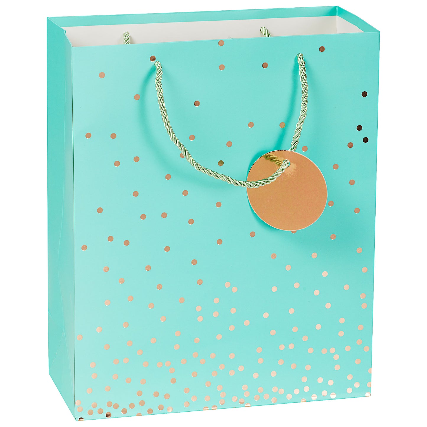 Gift Bag Confetti Foiled Aqua/Pink Large