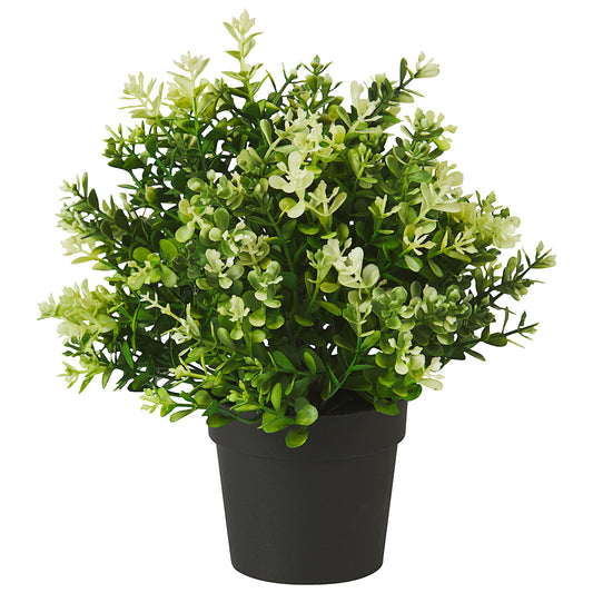 Artificial Thyme In Plastic Pot 23cm