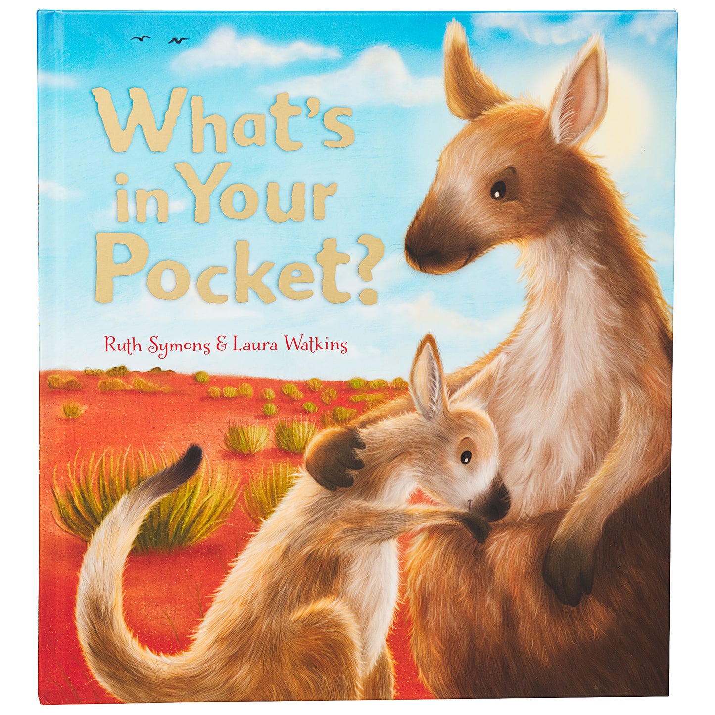 What’s In My Pocket Story