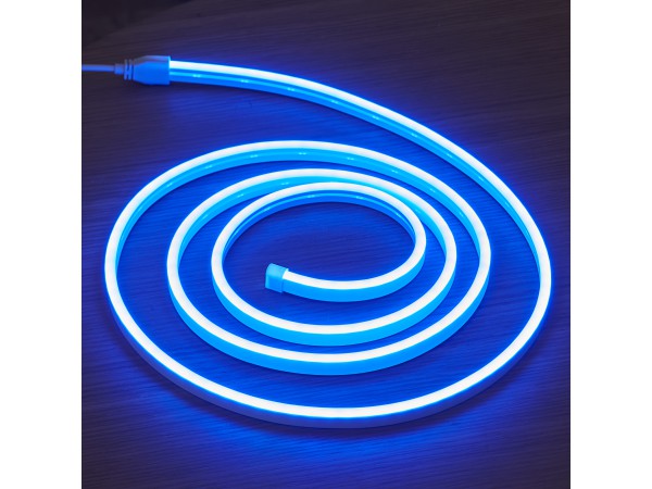 Neon 2m Tube Flex Light