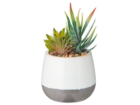 Faux Succulent In Glazed Ceramic Pot 17cm