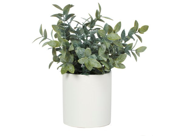 Faux Sage Bush In White Ceramic Pot 30cm