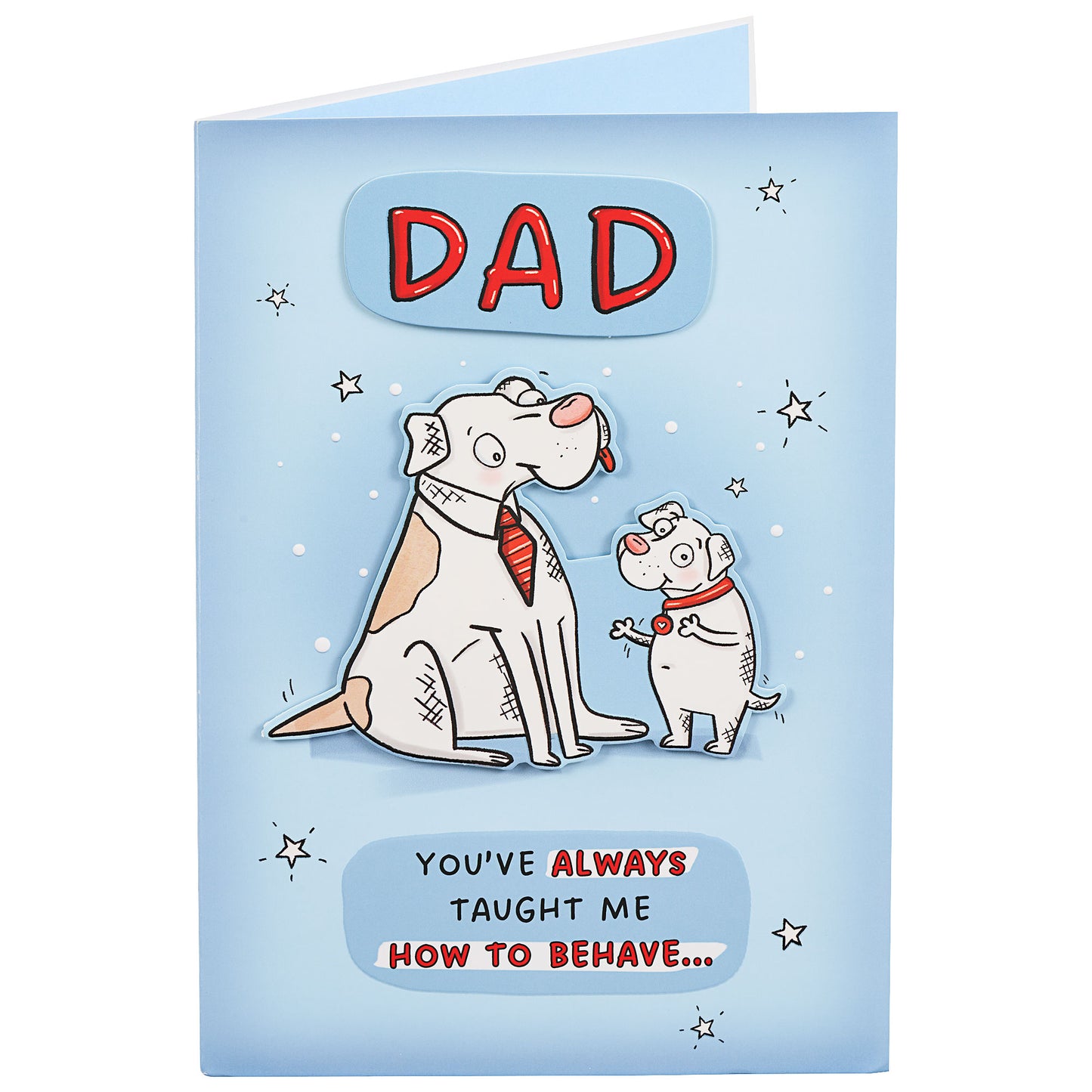 Dad You've Always Taught Me Father's Day Card