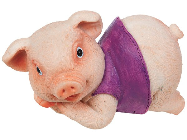 Pot Hanging Garden Pig Assorted