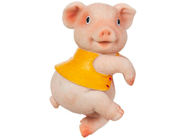 Pot Hanging Garden Pig Assorted