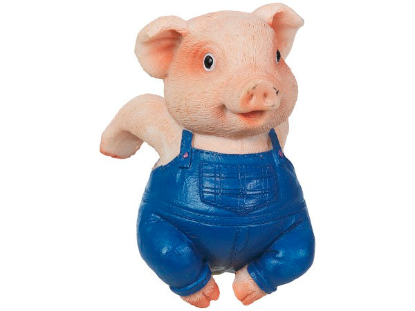 Pot Hanging Garden Pig Assorted