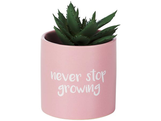 Faux Succulent In Glazed Ceramic Pot 17cm Assorted