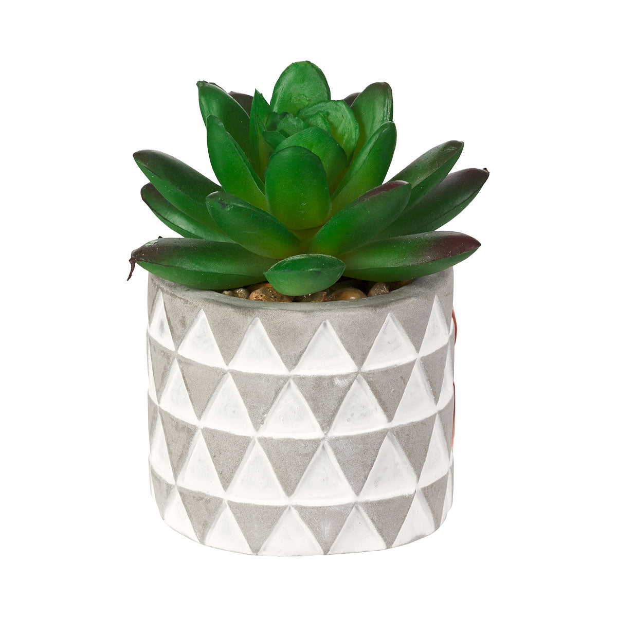 Faux Succulent in Patterned Cement