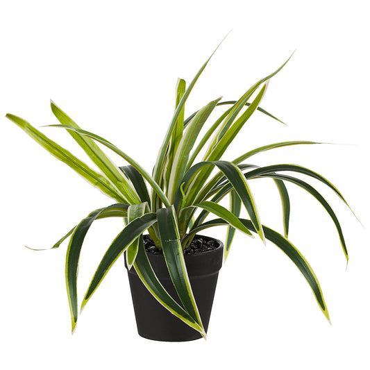 Faux Long Leafed Plant In Plastic Pot