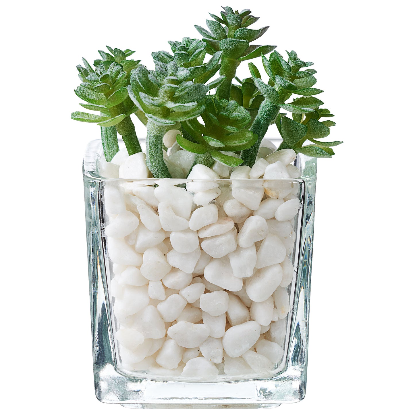 Mini Faux Succulents In Glass With Stones