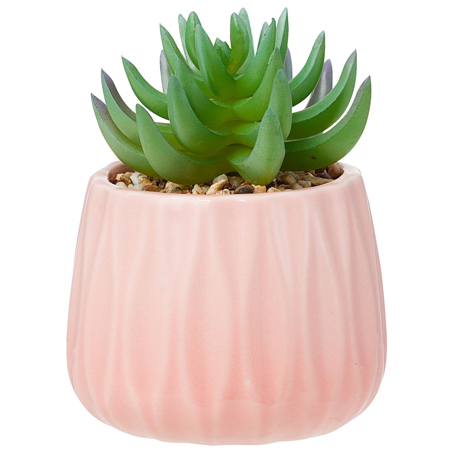 Faux Succulents In Glazed Pot 8cm Assorted