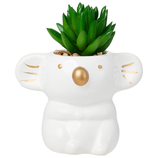 Novelty Faux Succulent Koala/Hedgehog