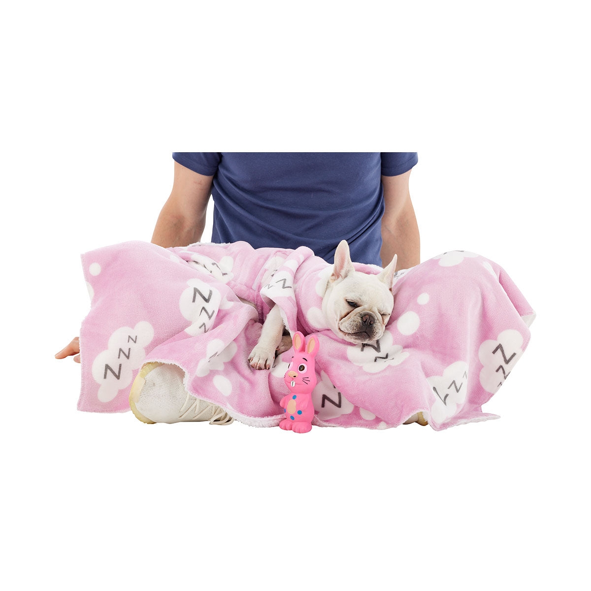 Dog Hoodie Assorted Small