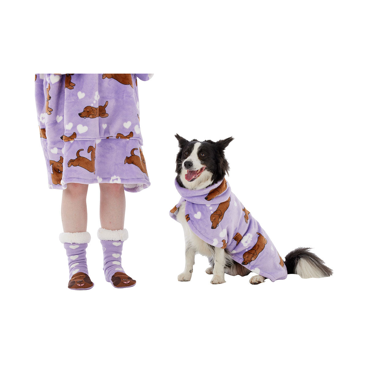 Dog Hoodie Assorted Medium