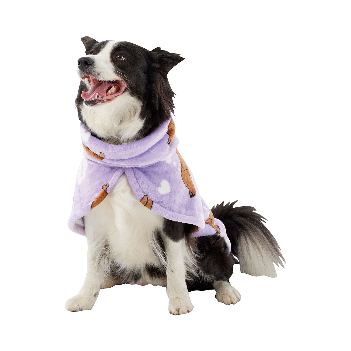 Dog Hoodie Assorted Medium